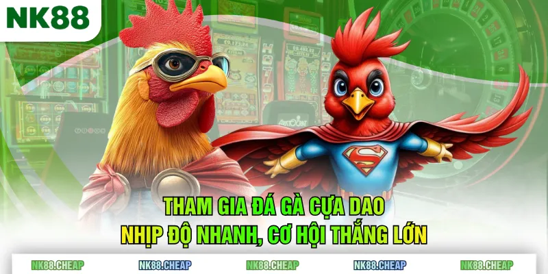 Tham gia đá gà cựa dao nhịp độ nhanh, cơ hội thắng lớn