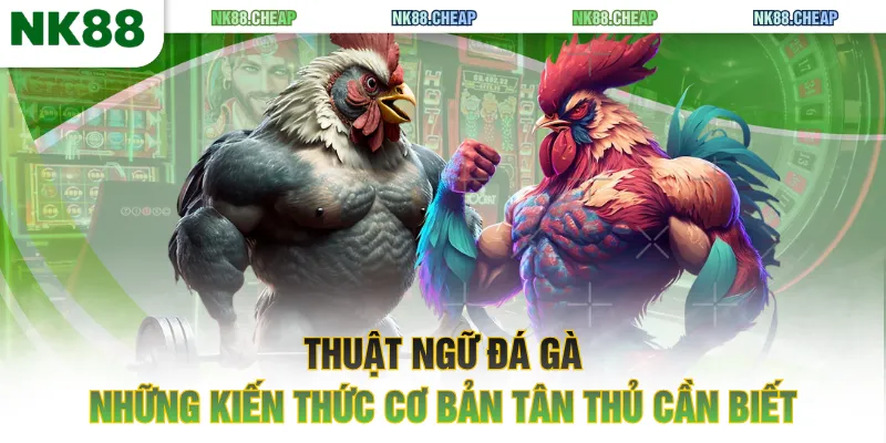 thuật ngữ đá gà